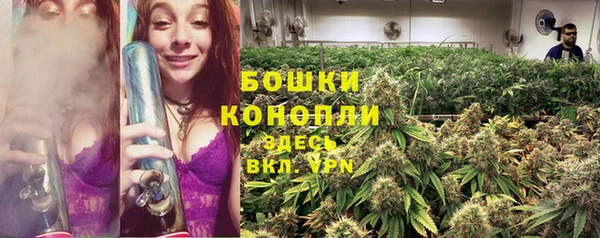 дурь Осинники