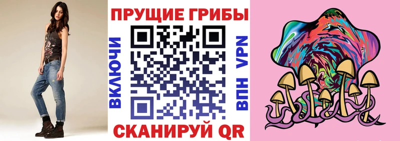 Псилоцибиновые грибы мухоморы  блэк спрут как войти  Светлоград 