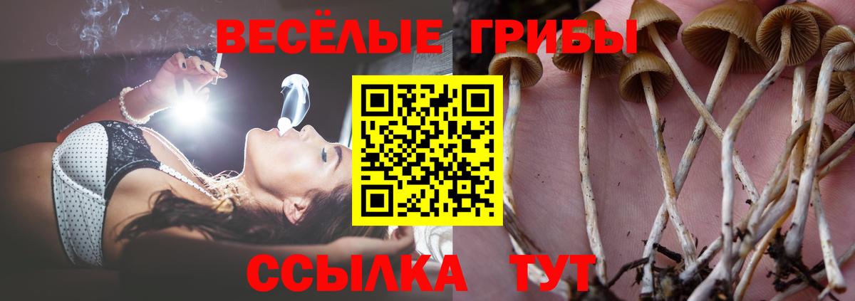 Светлоград  Галлюциногенные грибы MAGIC MUSHROOMS  Псилоцибиновые грибы MAGIC MUSHROOMS  Вход с VPN 